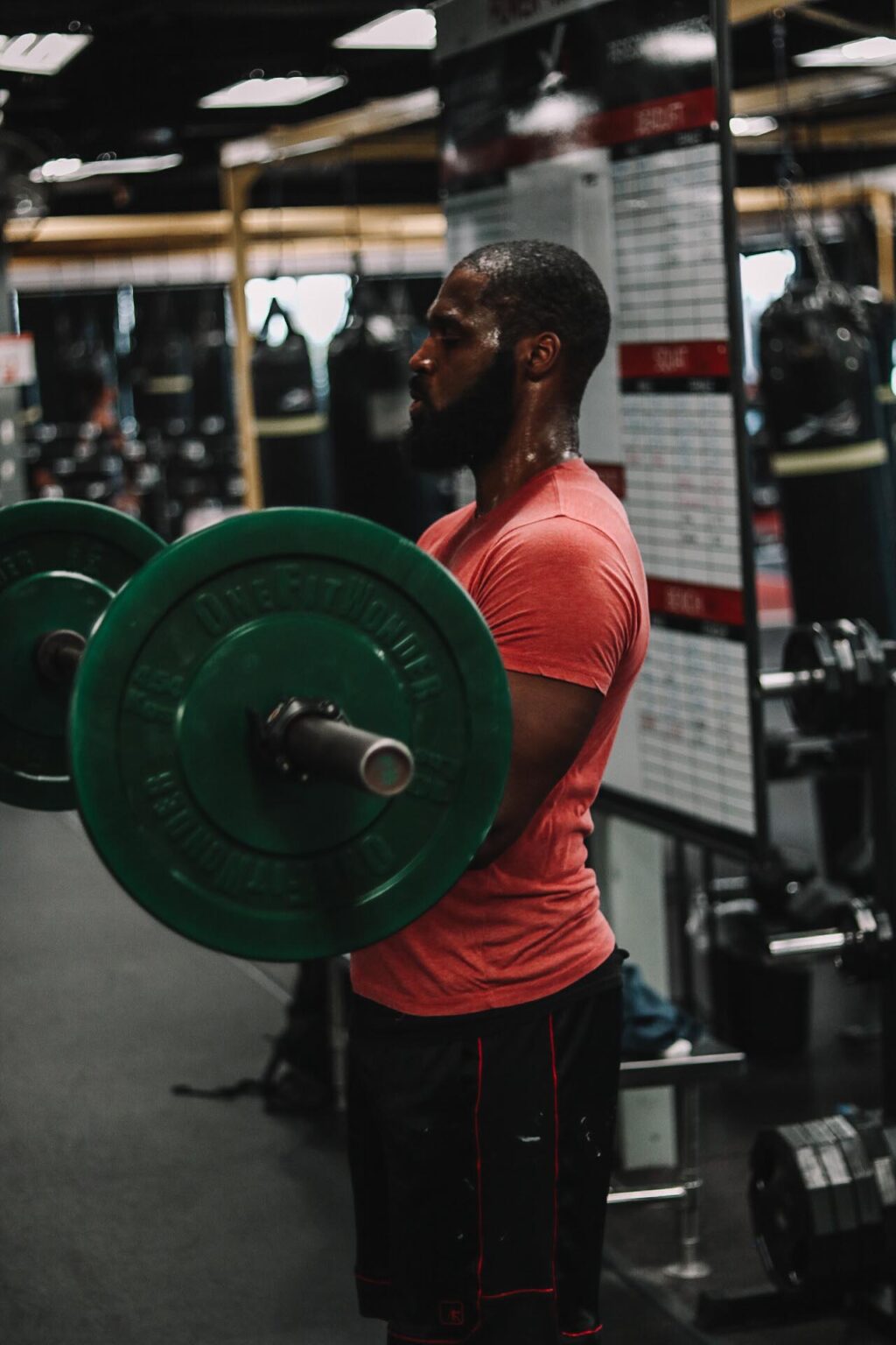 Weight Exercises For Beginners